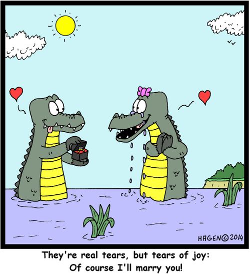 'They're real tears, but tears of joy: Of course I'll marry you!'