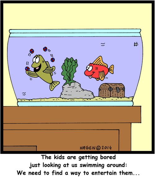 'The kids are getting bored just looking at us swimming around: We need to find a way to entertain them...'
