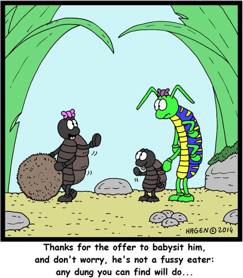 'Thanks for the offer to baby sit him, and don't worry, he's not a fussy eater: Any dung you can find will do...'