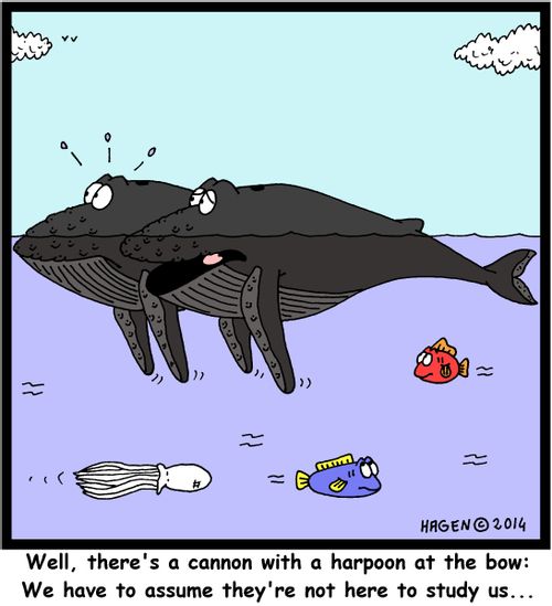 'Well, there's a cannon with a harpoon at the bow: We have to assume they're not here to study us...'