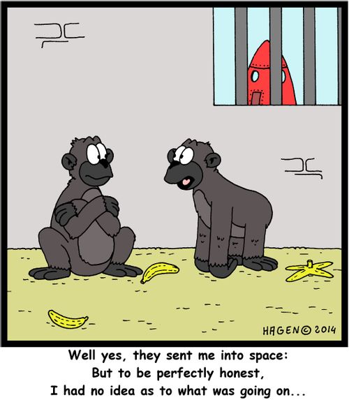 'Well yes, they sent me into space: But to be perfectly honest, I had no idea as to what was going on...'