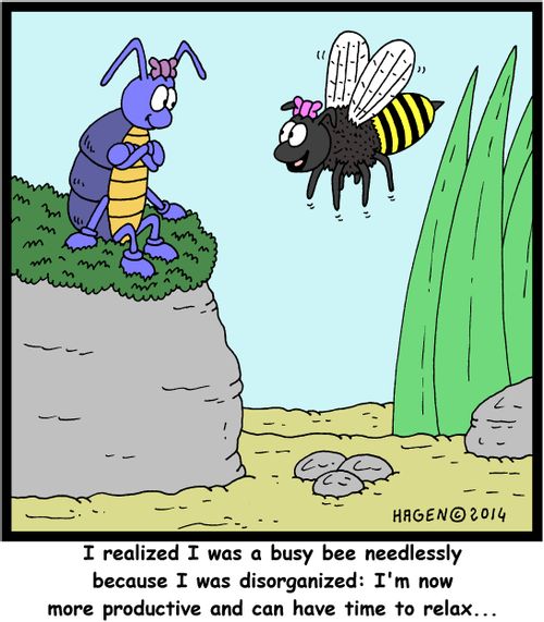 'I realized I was a busy bee needlessly because I was disorganized: I'm now more productibe and can have time to relax...'
