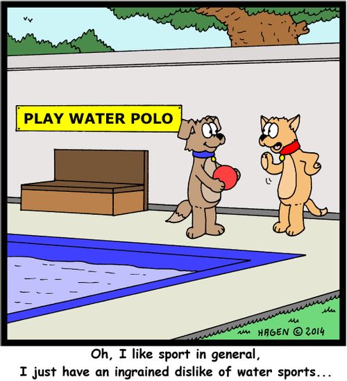 'Oh, I like sport in general, I just have an ingrained dislike of water sports...'