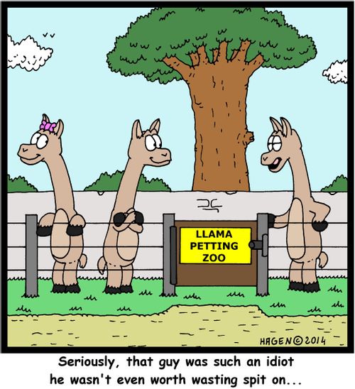 'Seriously, that guy was such an idiot he wasn't even worth wasting spit on...'
