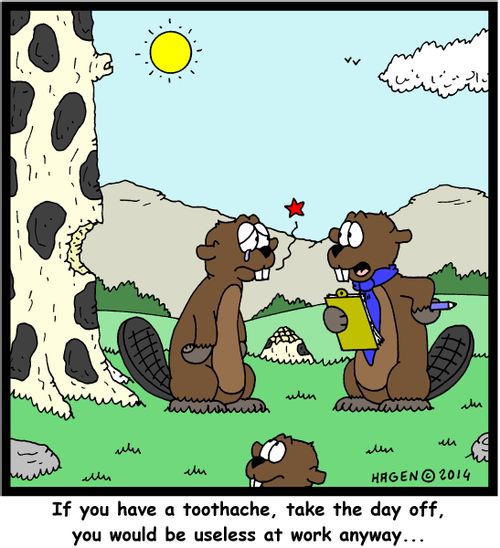 'If you have a toothache, take the day off, you would be useless at work anyway...'