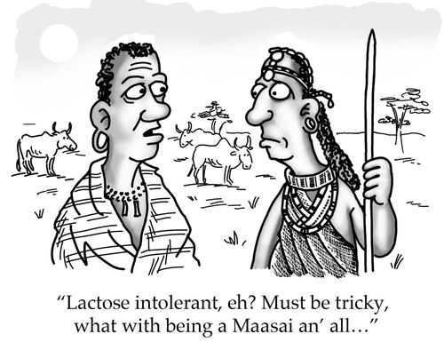 'Lactose intolerant, eh? Must be tricky, what with being a Maasai an' all....'