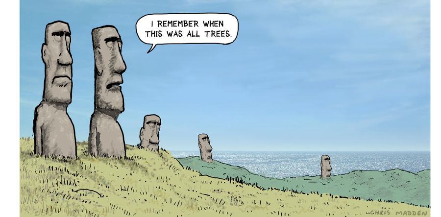 'I remember when this was all trees.'