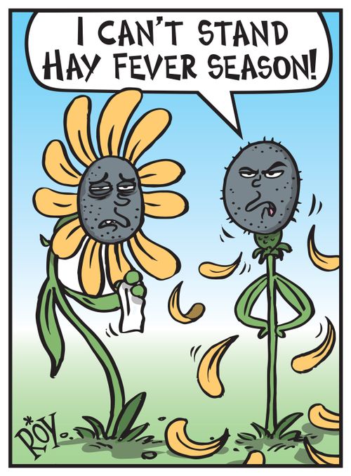 'I can't stand hay fever season.'