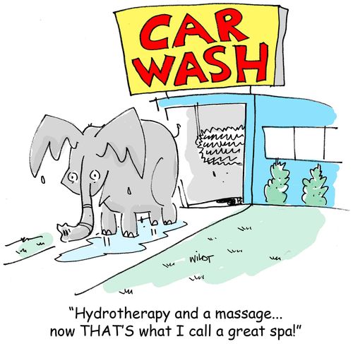 'Hydrotherapy and a massage... now THAT'S what I call a great spa!'