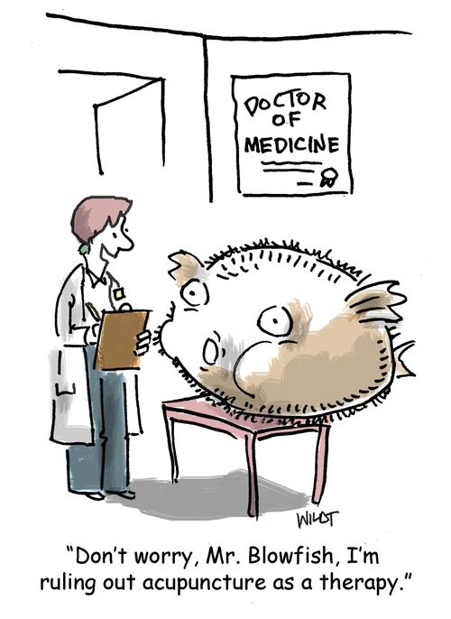 'Don't worry, Mr. Blowfish, I'm ruling out acupuncture as a therapy.'