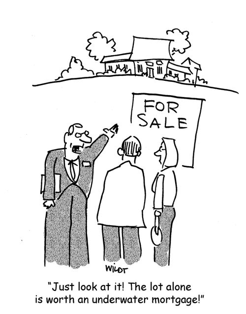 'Just look at it! The lot alone is worth an underwater mortgage.'