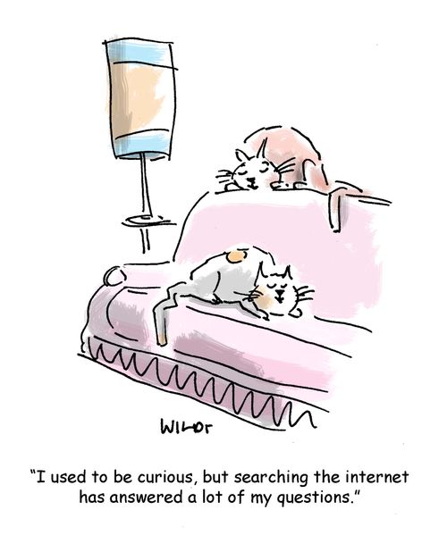 'I used to be curious, but searching the internet has answered a lot of my questions.'