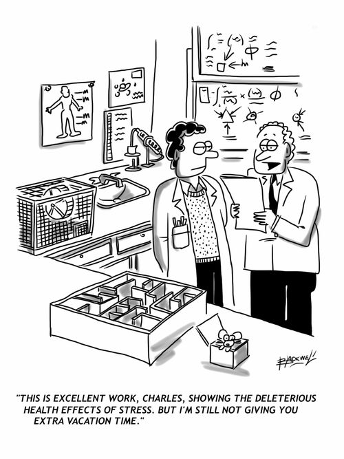 this is excellent work, Charles, showing the deleterious health effects of stress. But I'm still not giving you extra vacation time. 