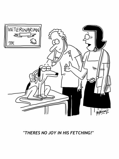 'There's no joy in his fetching.'
