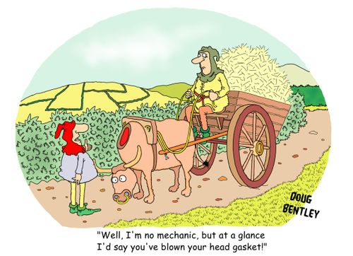 'Well, I'm no mechanic, but at a glance I'd say you've blown your head gasket!'