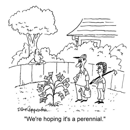 'We're hoping it's a perennial.'