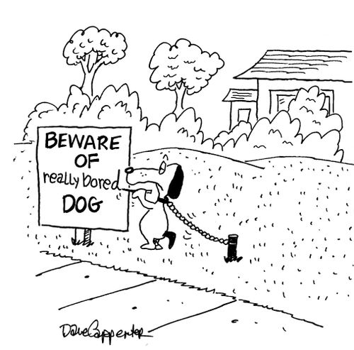 Beware of really bored dog.