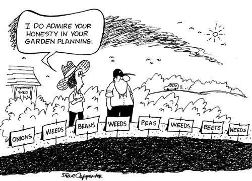 'I do admire your honesty in your garden planning.'