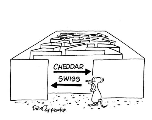 Mouse maze decision.