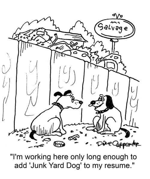 'I'm working here only long enough to add 'Junk Yard Dog to my resume.'