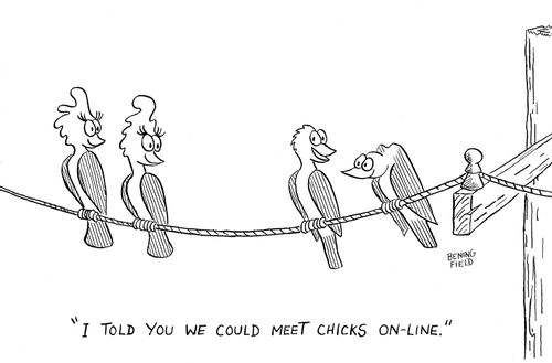 'I told you we could meet chicks on-line.'