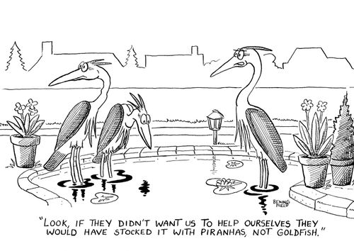'Look, if they didn't want us to help ourselves they would have stocked it with piranhas, not goldfish.'