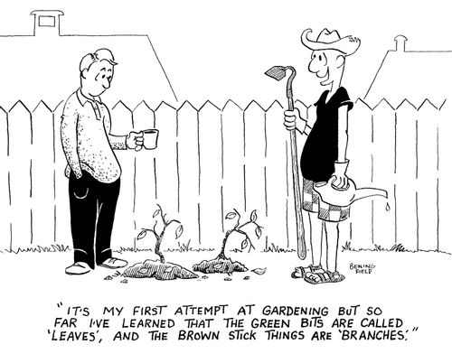 'It's my first attempt at gardening but so far I've learned...'