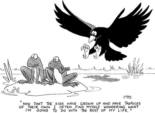 'Now that the kids have grown up and have tadpoles of their own I often find myself wondering what I'm going to do with the rest of my life.'