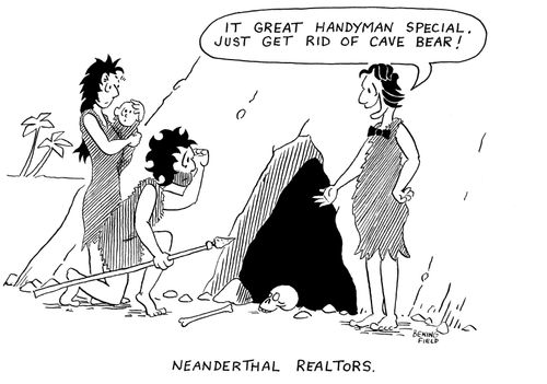 'It great handyman special. Just get rid of cave bear.'