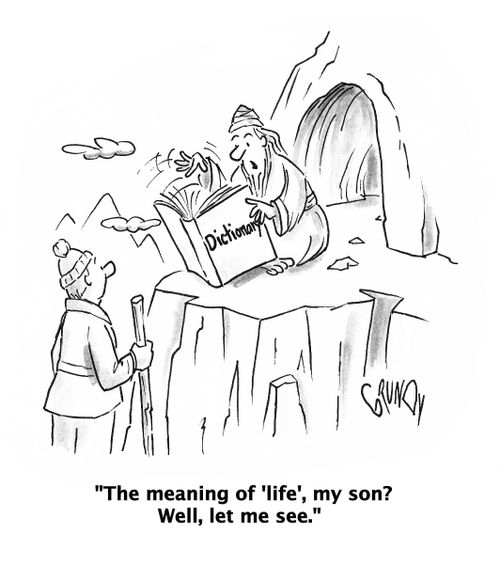 'The meaning of 'life', my son?  Well, let me see.'