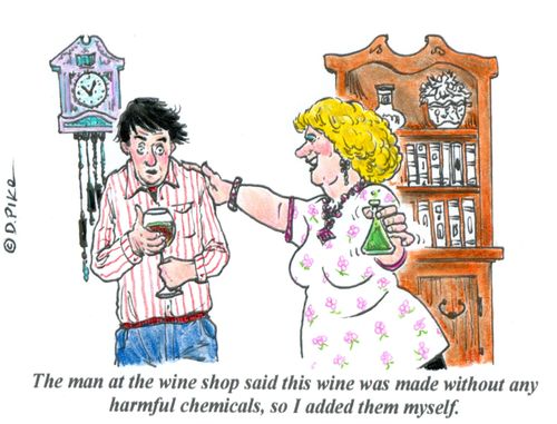 'The man at the wine shop said this wine was made without any harmful chemicals, so I added them myself.'