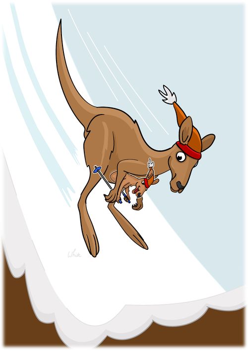 Kangaroo Ski Jump