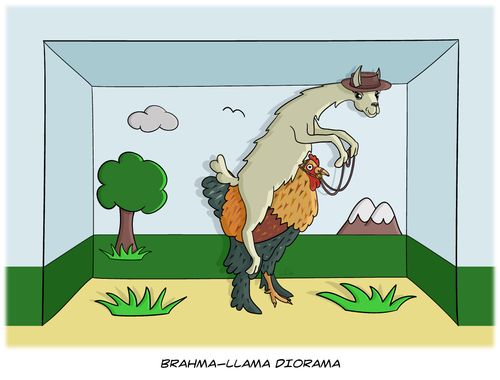 Brahma-Llama Diorama