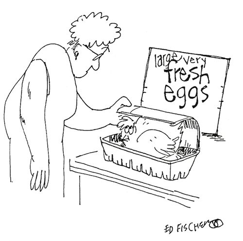 Large Very Fresh Eggs
