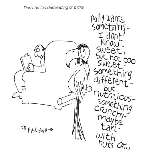 Don't be too demanding or picky...