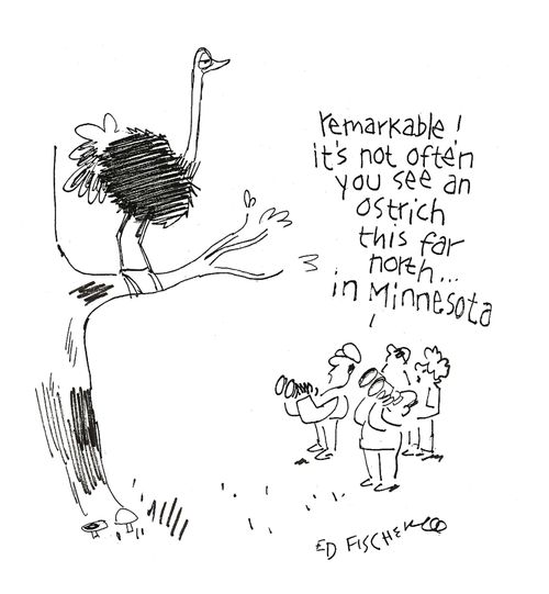 'Remarkable: It's not often you see an ostrich this far north in Minnesota.'