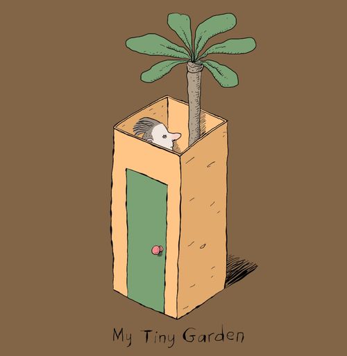 My tiny garden.
