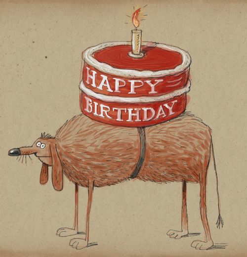 A dog carrying a large birthday cake on its back.