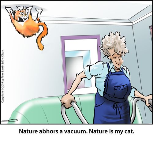'Nature abhors a vacuum. Nature is my cat.'