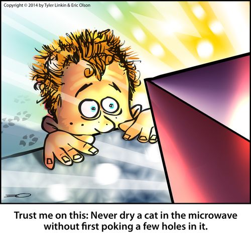 Trust me on this: Never dry a cat in the microwave without first poking a few holes in it.