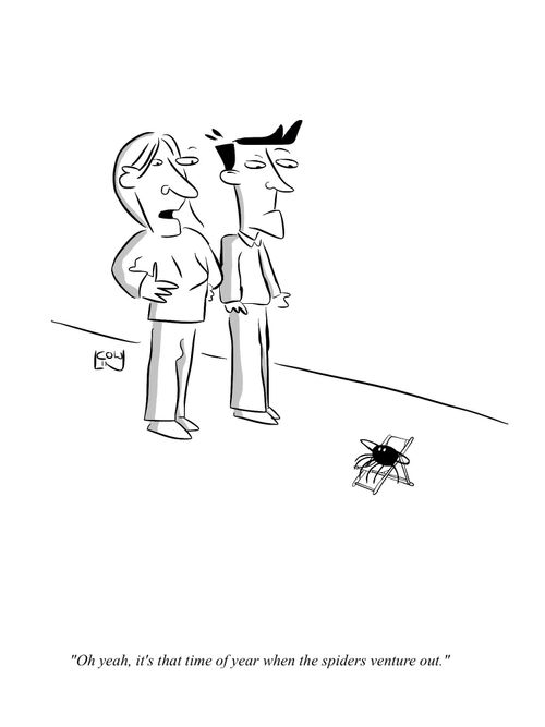 'Oh yeah, it's that time of year when the spiders venture out.'