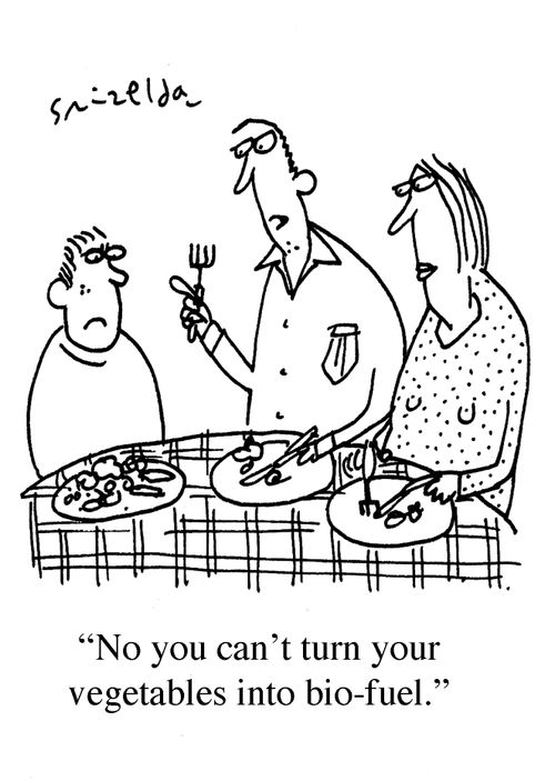 'No, you can't turn your vegetables into bio-fuel.'