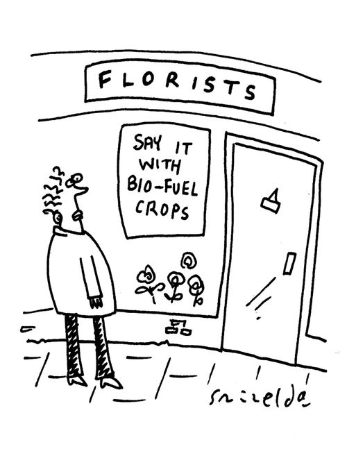 Florists - Say it with bio-fuel crops.