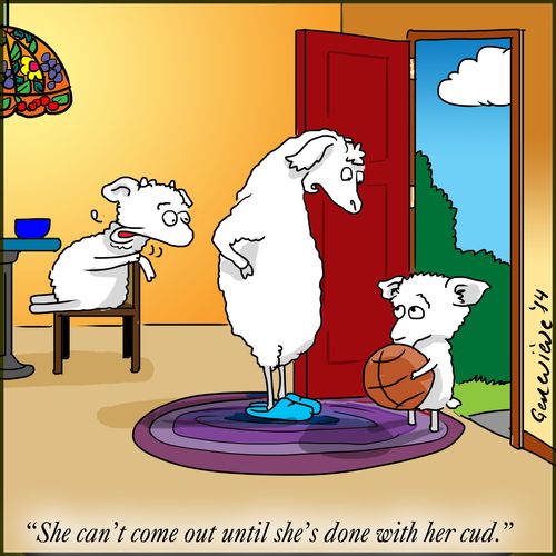 'She can't come out until she's done with her cud.'