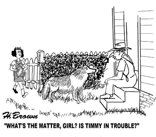 'What's the matter, girl? Is Timmy in trouble?'