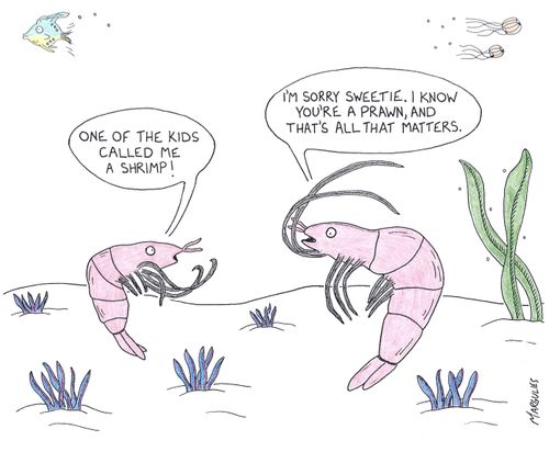 'One of the kids called me a shrimp!'