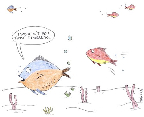 'I wouldn't pop those if I were you.'