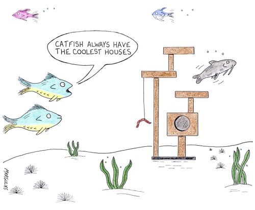 'Catfish always have the coolest houses.'