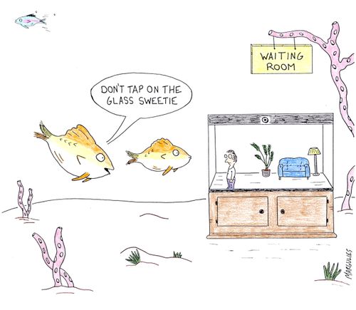 'Don't tap on the glass sweetie.'
