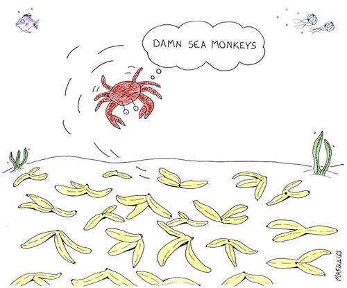 'Damn sea monkeys.'